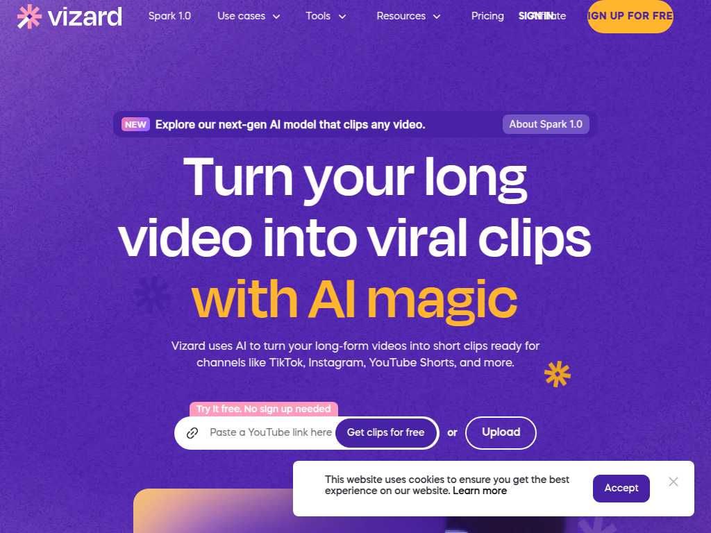Vizard